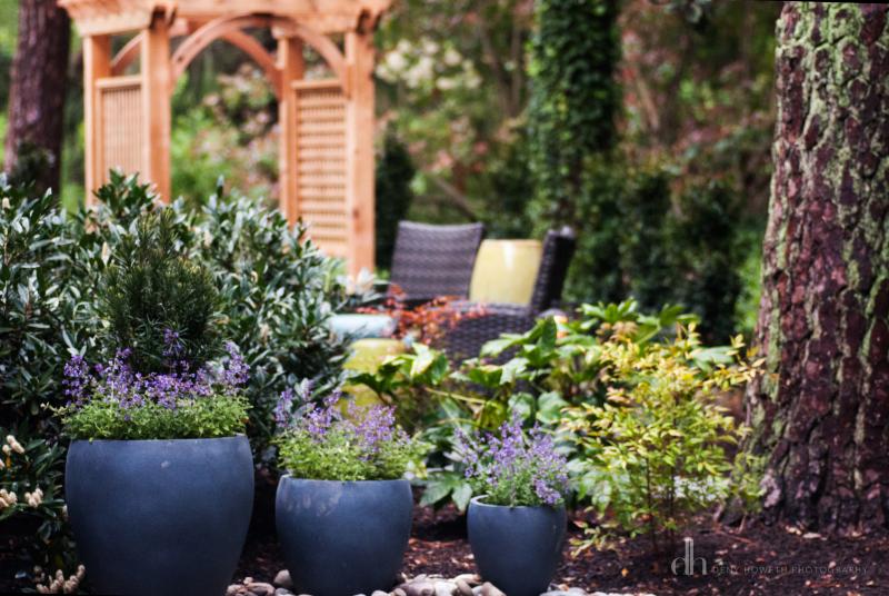 Outdoor rooms that delight! BY DENY HOWETH
